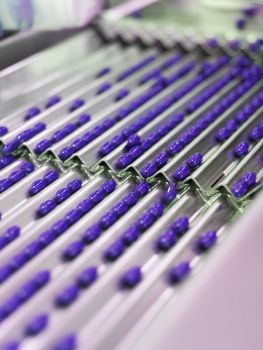 Purple Medical Pills in production Line