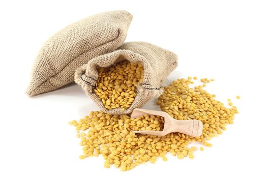 dried yellow lentils in sacks with bushels on a light background