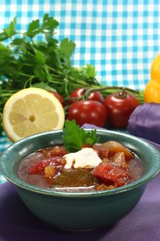 Soljanka in a soup bowl with pickles and a dollop of cream