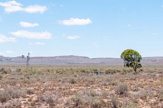 Typical arid Karoo landscape between Richmond and Three Sisters