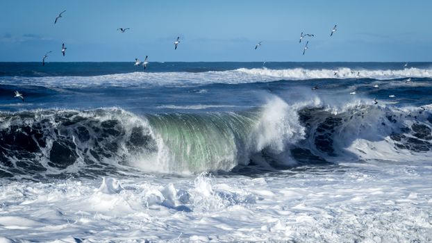 A large wave crashes on the Northern California coastline.