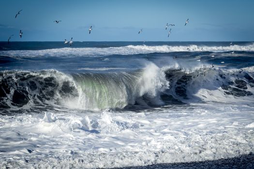 A large wave crashes on the Northern California coastline.