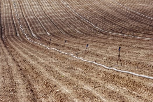 Regular furrows of land with long pipes for irrigation