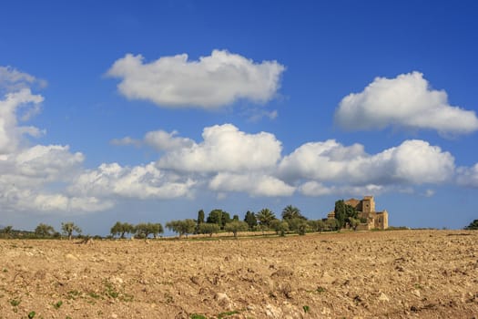 An old countryside house surrounded by trees.
Outside there is a cultivated dried land  