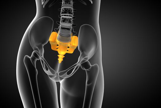 3d render medical illustration of the sacrum bone - front view