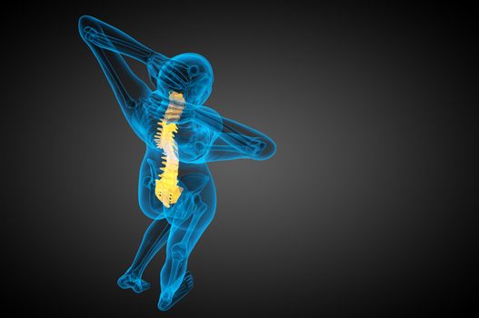 3d render medical illustration of the human spine - bottom view
