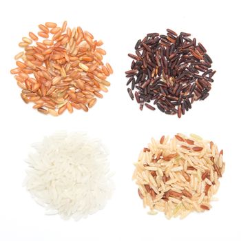 brown and white variety rice on white background