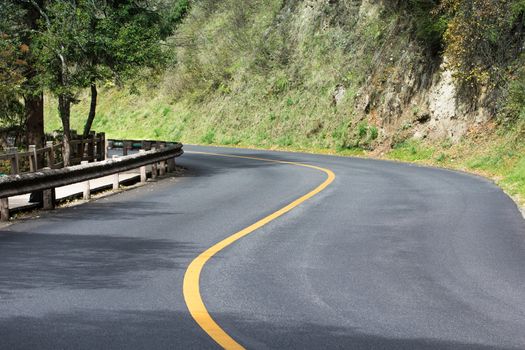 road curve nobody with tree on both side