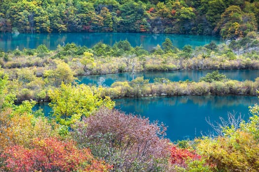 shuzheng lake at Jiuzhaigou scenic area colorful leaf, Sichuan, China