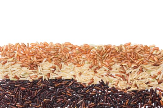 Three variety kinds of brown rice, black ,yellow and brown with copy space