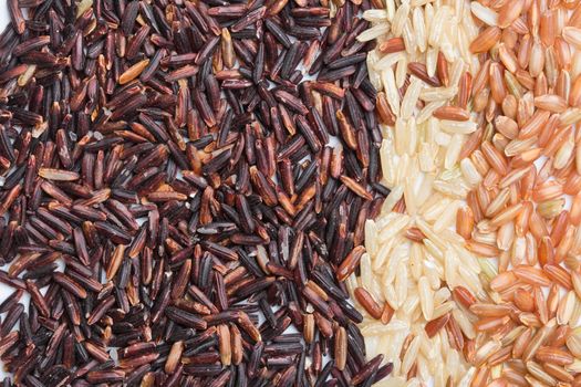 Three variety kinds of brown rice, black ,yellow and brown