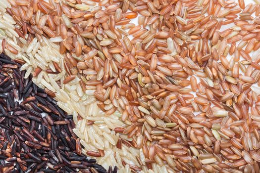 Three variety kinds of brown rice, black ,yellow and brown