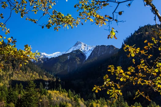 mountain snow with tree frame view of Jiuzhaigou scenic area, Sichuan, China