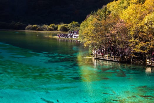 Jiuzhaigou national park, Five Flower Lake is lake in Sichuan, China