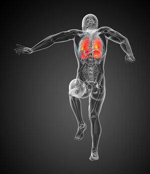 3d rendered illustration of the respiratort system - back view