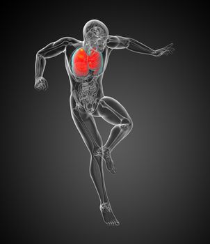 3d rendered illustration of the respiratort system - top view