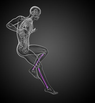 3d render medical 3d illustration of the fibula bone - side view