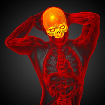 3d render medical illustration of the upper skull - front view