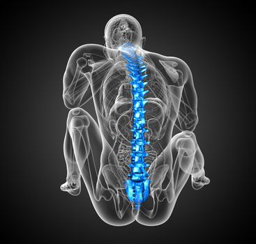 3d render medical illustration of the human spine - back view