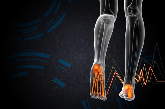 3d render medical illustration of the foot bone - back view