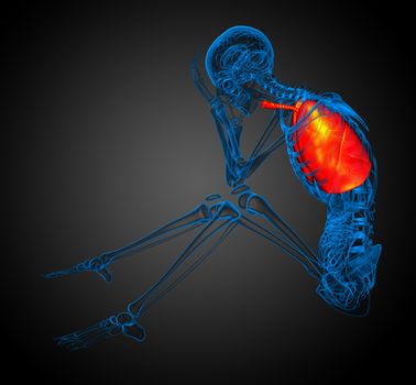 3d rendered illustration of respiratort system - side view