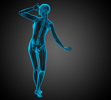 3d render medical illustration of the human anatomy - back view