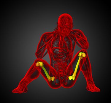 3d render medical illustration of the femur bone - front view