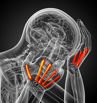 3d render medical illustration of the metacarpal bone - side view