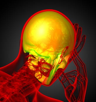 3d render medical illustration of the human skull - back view