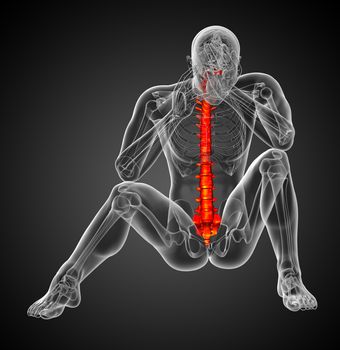 3d render medical illustration of the human spine - front view