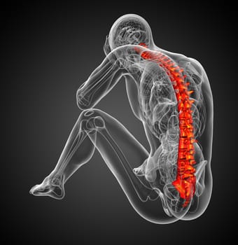 3d render medical illustration of the human spine - side view
