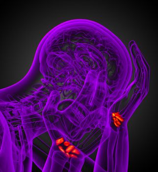 3d rendered illustration of the human carpal bones - side view