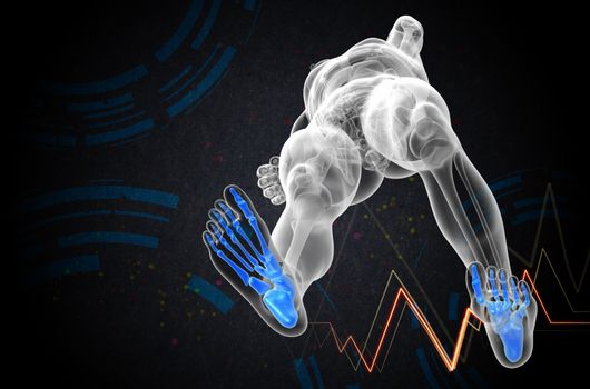 3d render medical illustration of the foot bone - bottom view