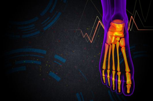 3d render medical illustration of the foot bone - side view
