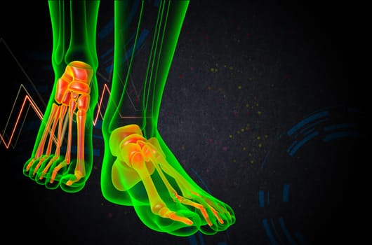 3d render medical illustration of the foot bone - front view
