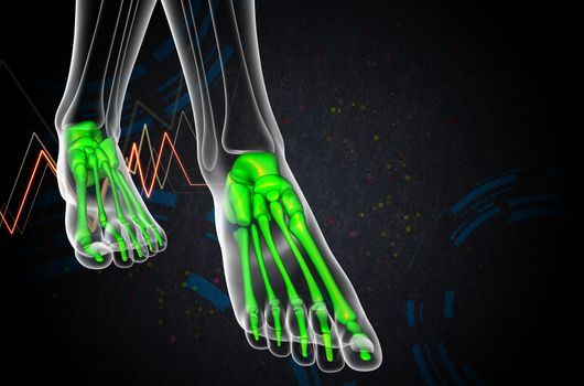 3d render medical illustration of the foot bone - front view