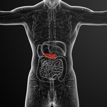 3d render medical illustration of the gallblader and pancrease - back view