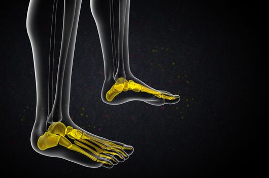 3d render medical illustration of the foot bone - side view