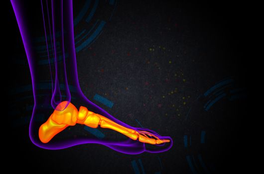 3d render medical illustration of the foot bone - side view