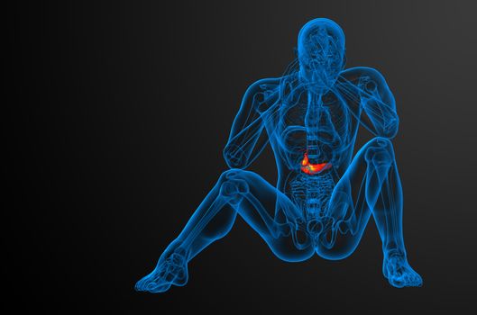 3d render medical illustration of the gallblader and pancrease - front view