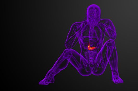 3d render medical illustration of the gallblader and pancrease - front view