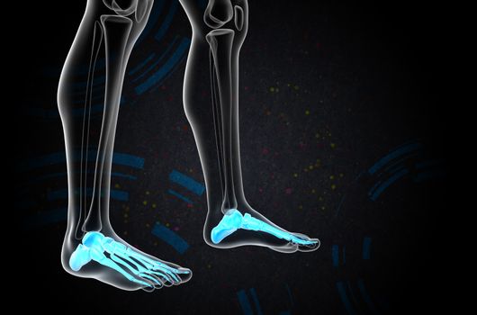 3d render medical illustration of the foot bone - side view