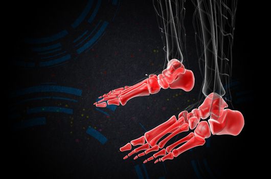 3d render medical illustration of the foot bone - side view