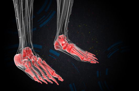 3d render medical illustration of the foot bone - side view