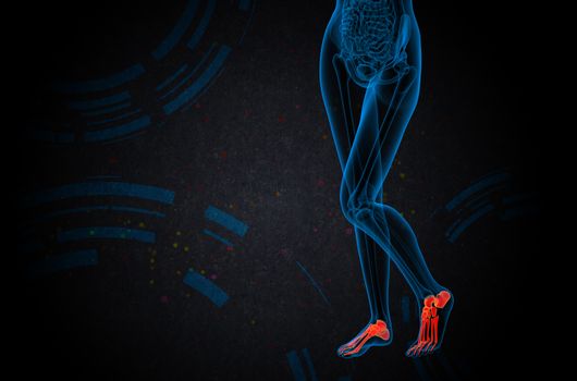 3d render medical illustration of the foot bone - side view