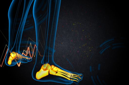 3d render medical illustration of the foot bone - side view