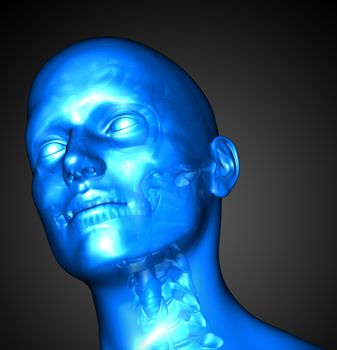 3d render illustration of the male anatomy - front view