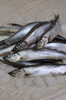 A pile of fresh capelin on the ice on a table