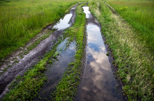 Dirt road with puddles in the green field.