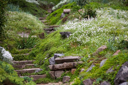 Stony stairs in the green blooming garden.